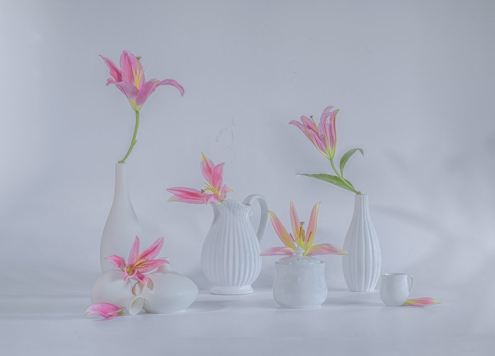 Delicate Pink Lilies by Alice Sheng