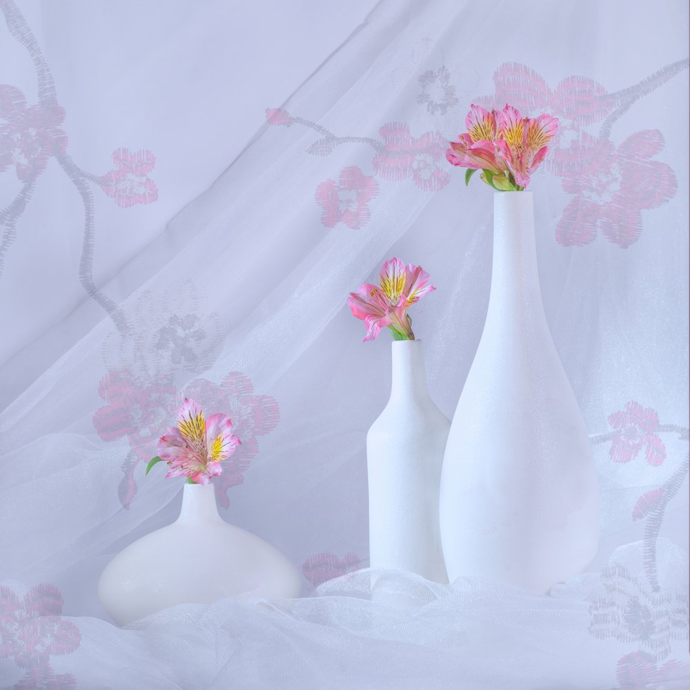 Elegant Pink Blooms by Alice Sheng