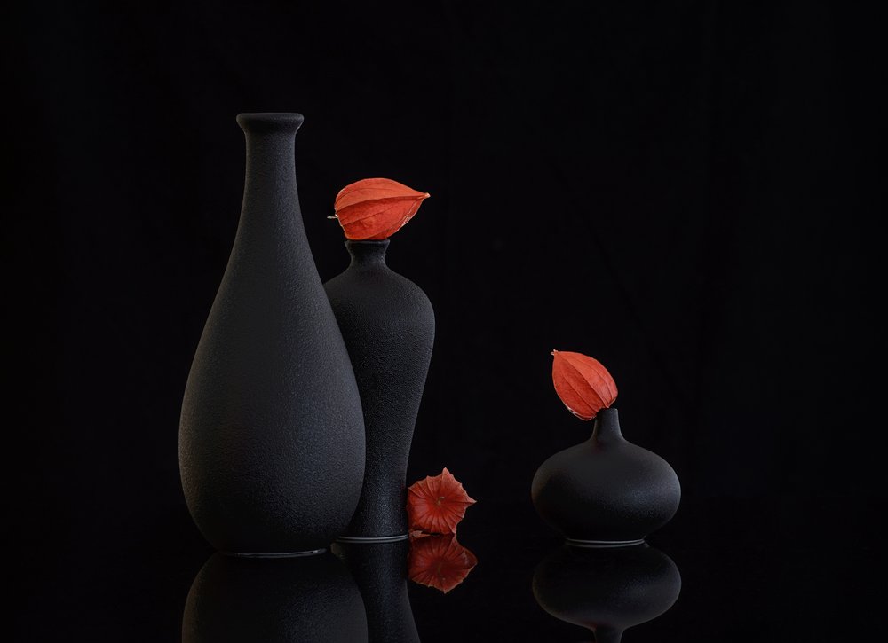 Orange Physalis Still Life by Alice Sheng