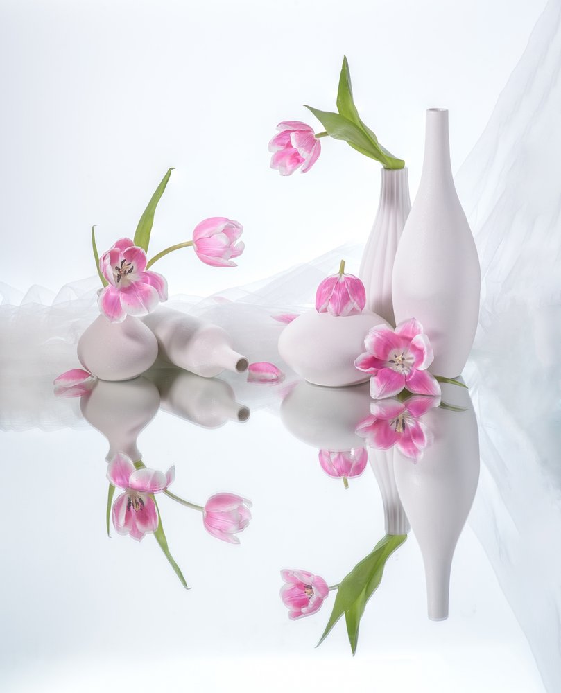 Pink Tulip Reflections by Alice Sheng