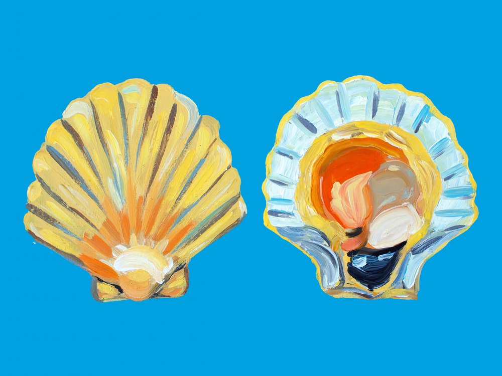 Golden Scallop Shells by Alice Straker
