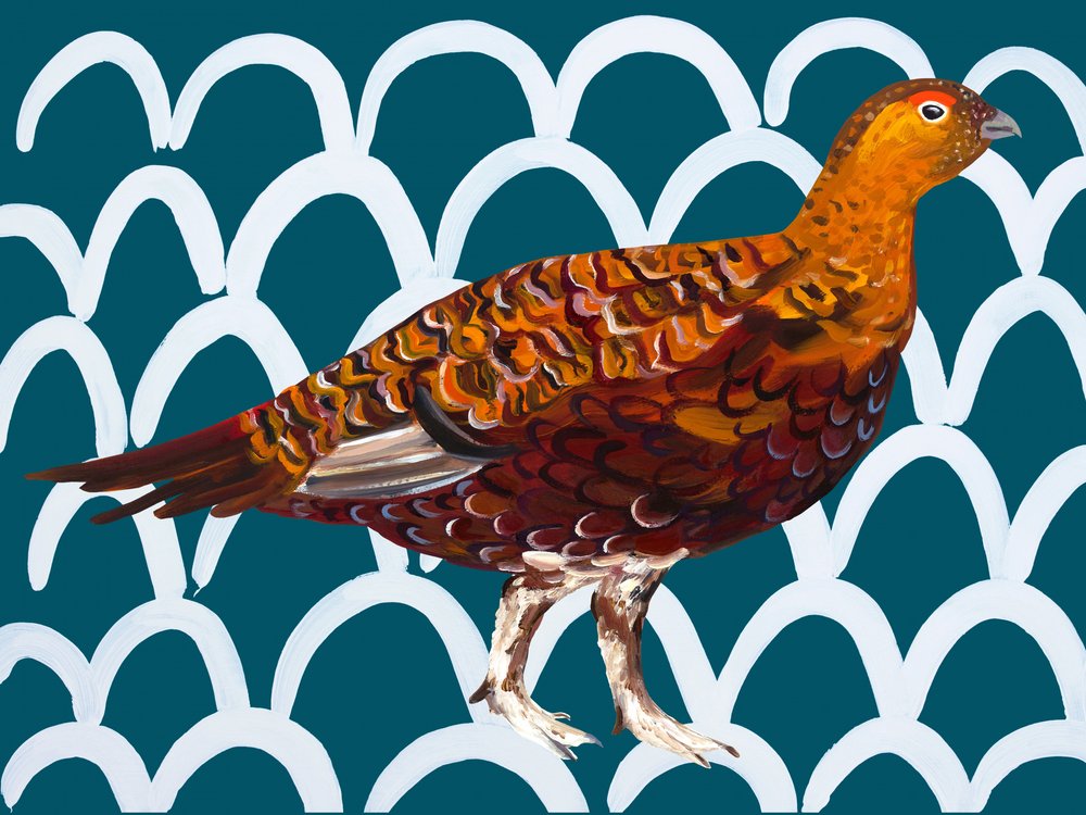 Red Grouse Teal Pattern by Alice Straker