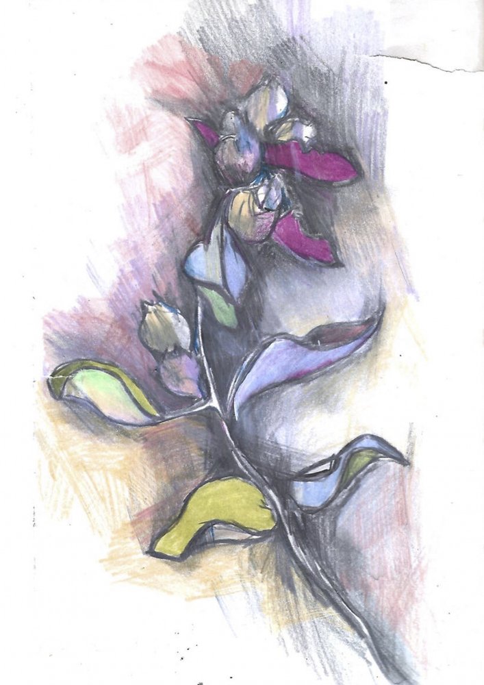 Colorful Botanical Sketch by Alice White