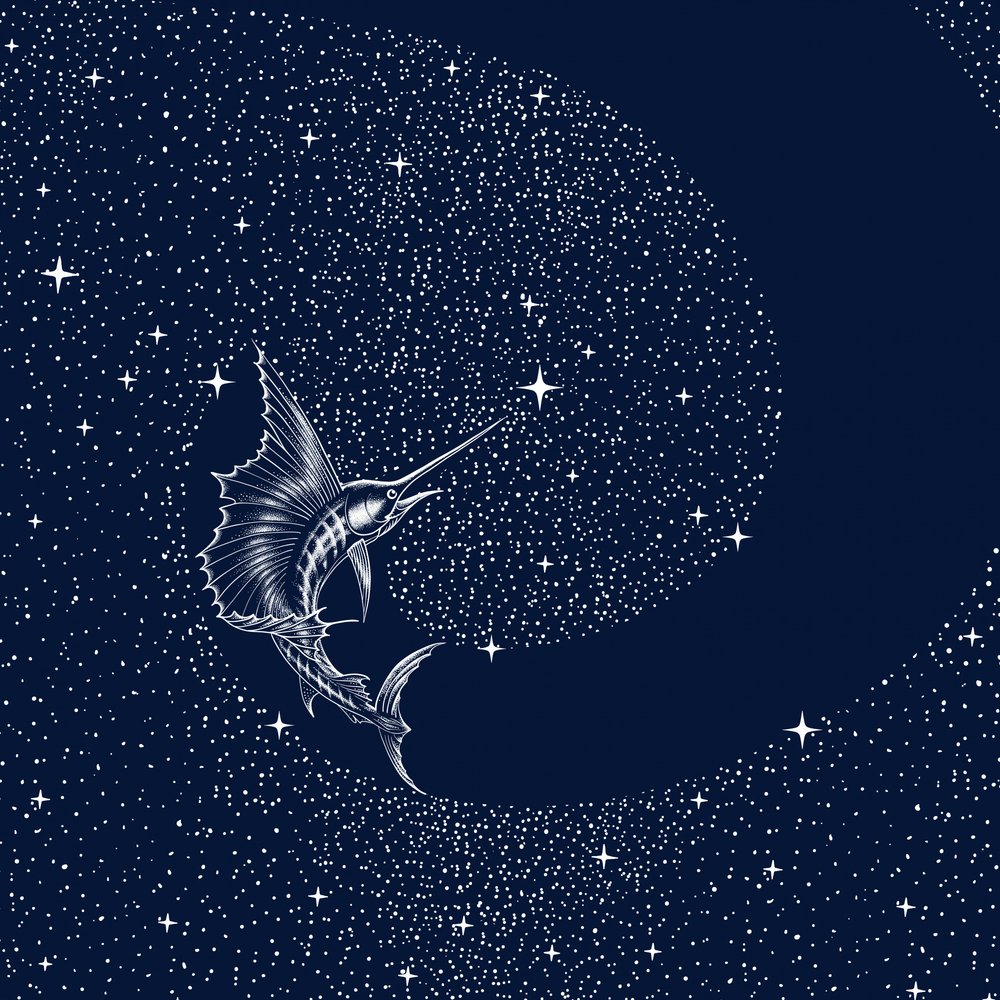 Celestial Sailfish by Alirıza ÇAKIR