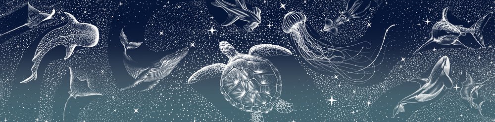 Celestial Sea Animals by Alirıza ÇAKIR