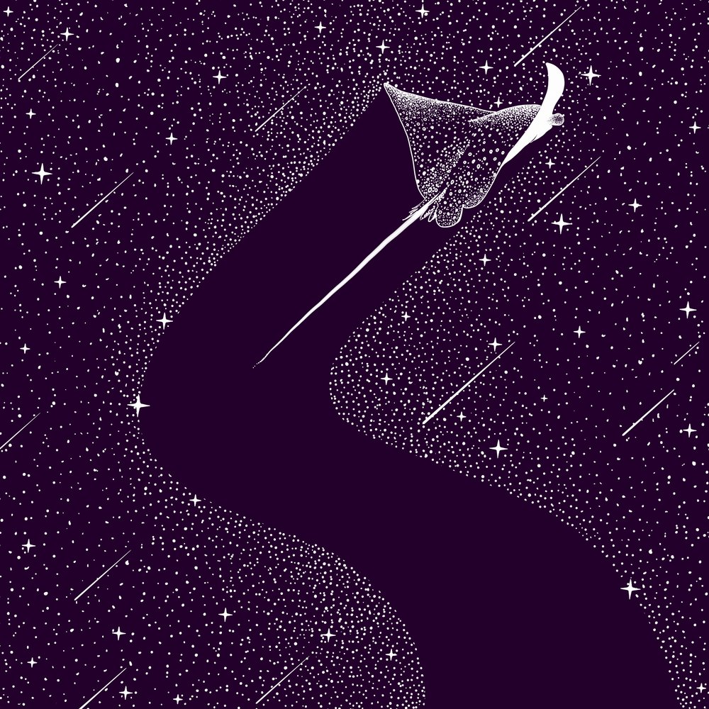 Cosmic Eagle Ray by Alirıza ÇAKIR