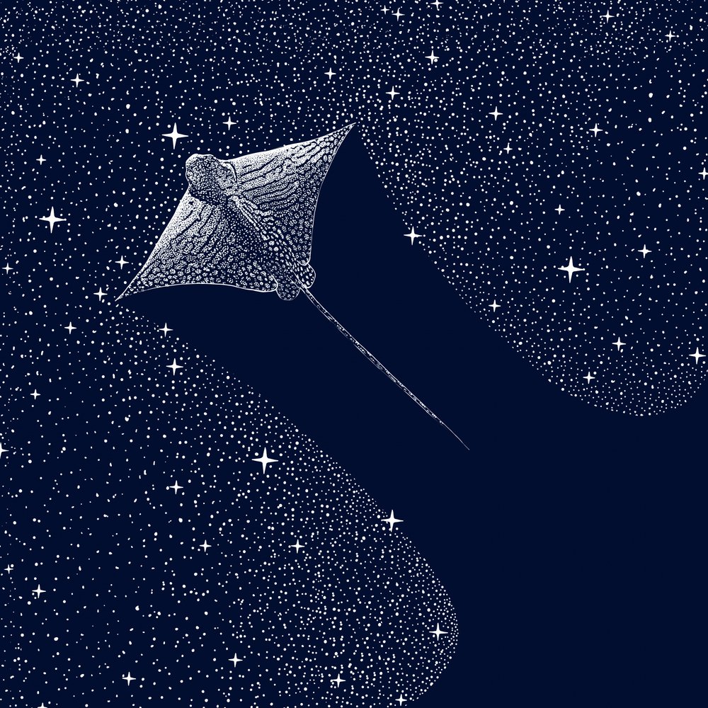 Cosmic Eagle Ray by Alirıza ÇAKIR