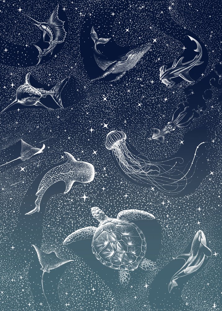Cosmic Ocean Animals by Alirıza ÇAKIR