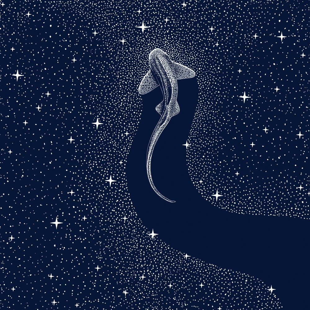Cosmic Shark by Alirıza ÇAKIR