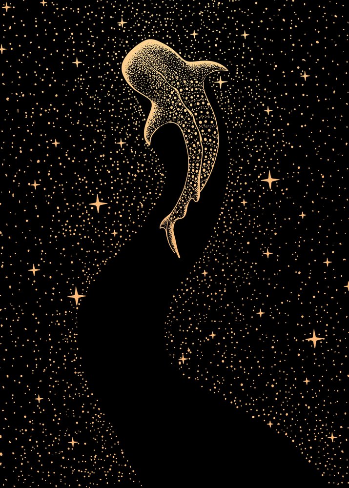 Cosmic Whale Shark by Alirıza ÇAKIR