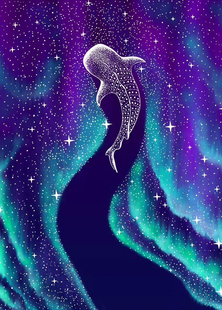 Northern Lights Whale Shark by Alirıza ÇAKIR