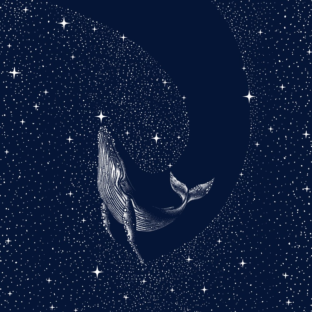 Starry Night Whale by Alirıza ÇAKIR