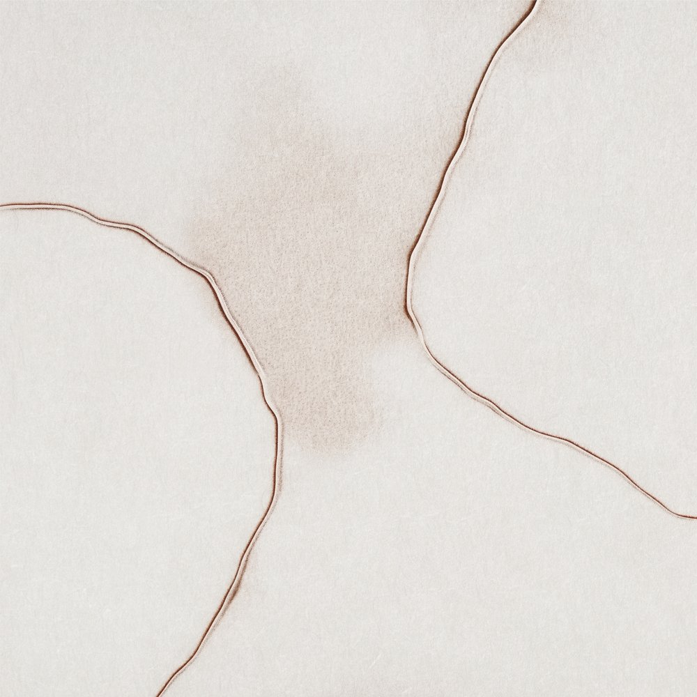 Soft Fluid Forms by Alma