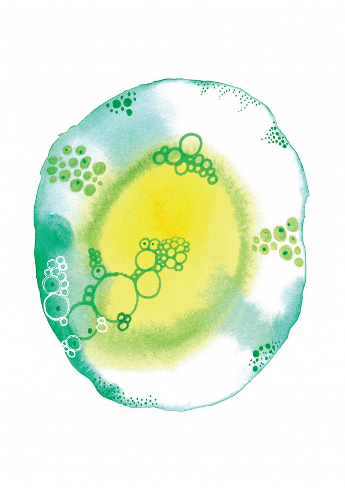 Organic Fluid Bubbles by Amy Louise Baker