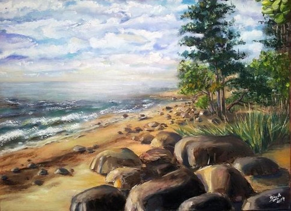 Rocky Beach Serenity by Anda Bieza