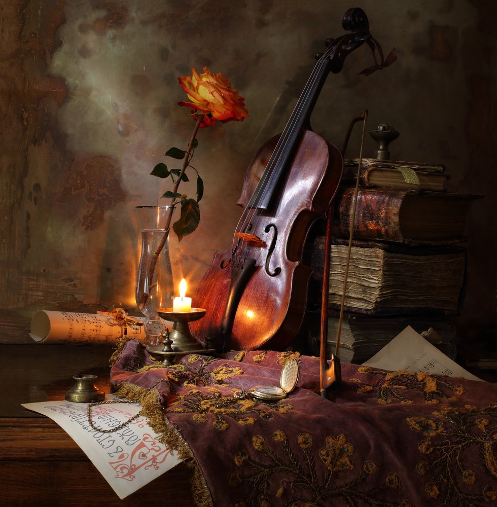 Romantic Violin and Rose by Andrey Morozov