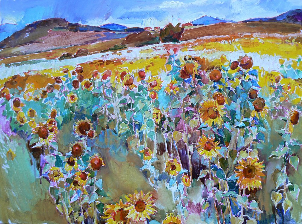 Golden Sunflower Fields by Andrii Kutsachenko