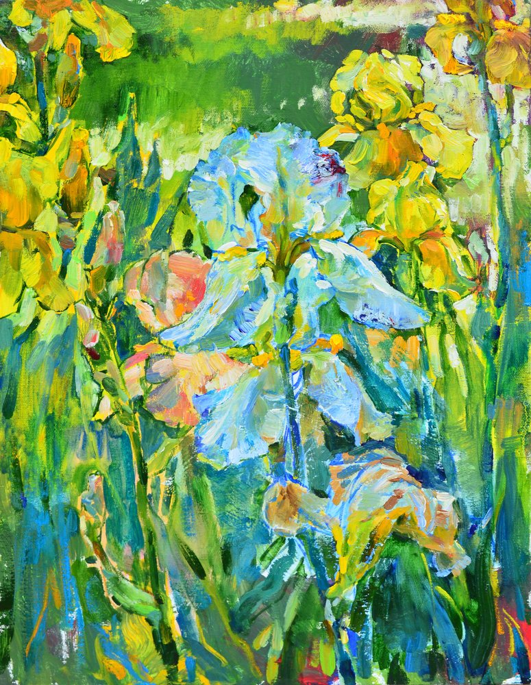 Vibrant Iris Garden by Andrii Kutsachenko