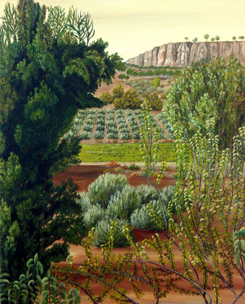 Cultivated Valley Cliff View by Angeles M. Pomata