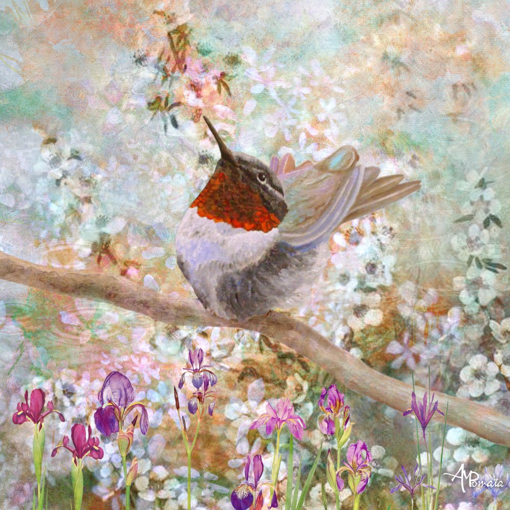 Hummingbird In Bloom by Angeles M. Pomata