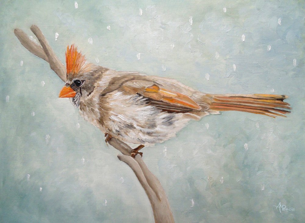 Peaceful Winter Cardinal by Angeles M. Pomata
