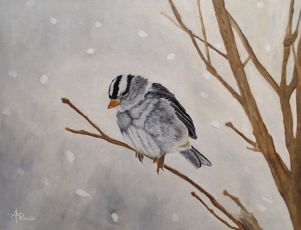 Quiet Winter Sparrow by Angeles M. Pomata