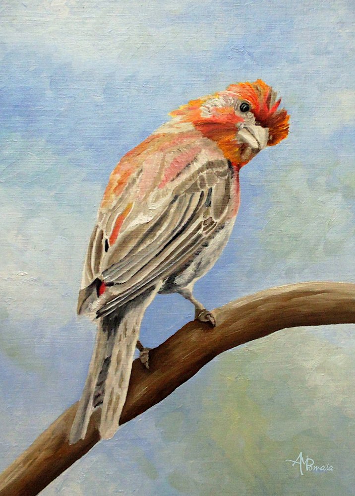 Red Finch on Branch by Angeles M. Pomata