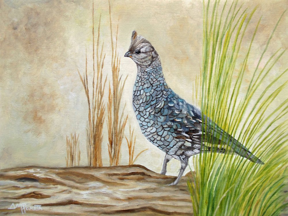 Ruffed Grouse on Log by Angeles M. Pomata