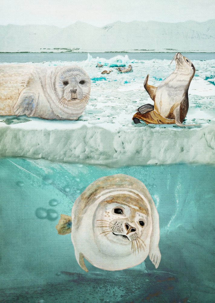 Seals Above And Below by Angeles M. Pomata