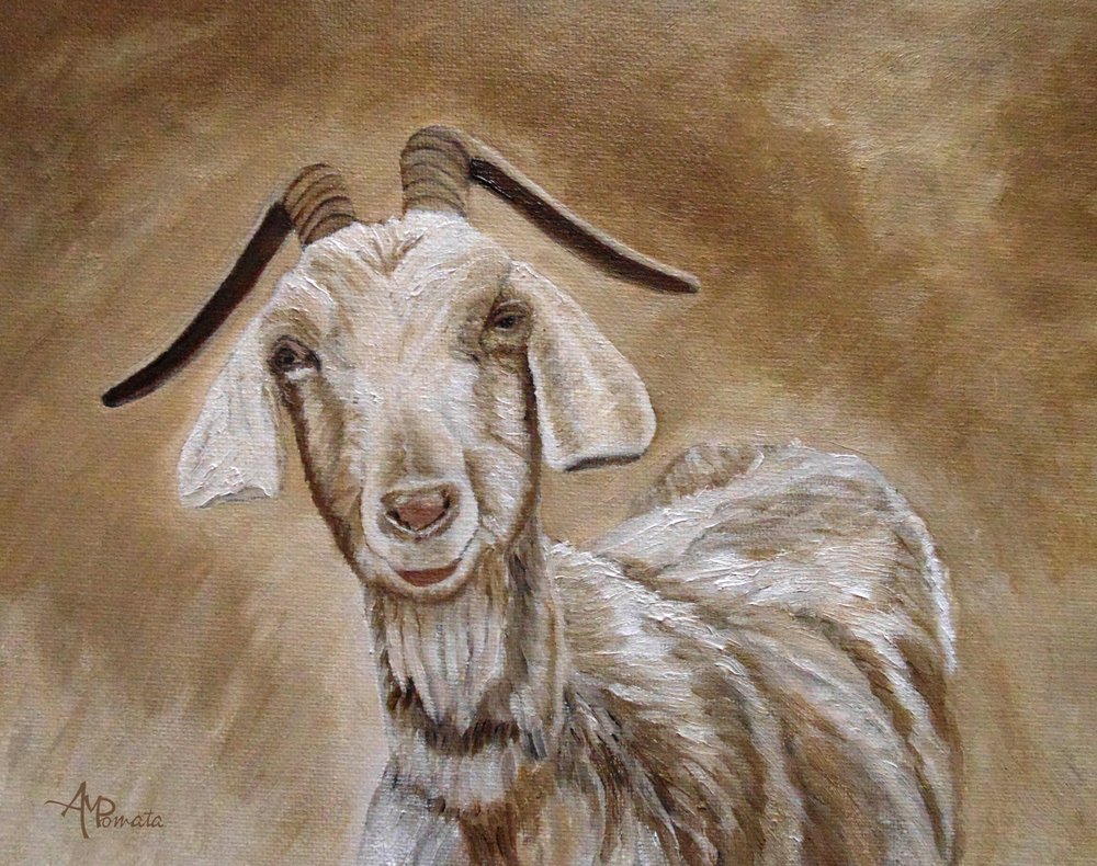Smiling Goat Portrait by Angeles M. Pomata