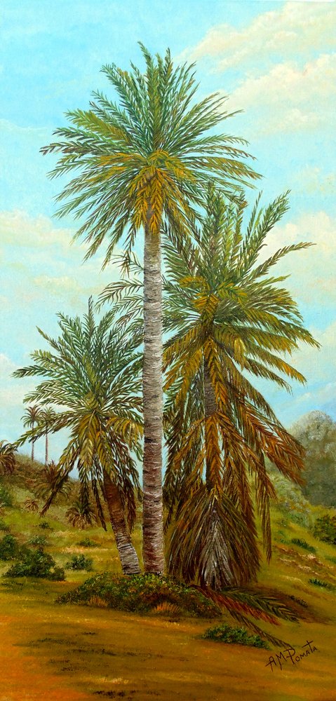 Sunny Desert Palms by Angeles M. Pomata