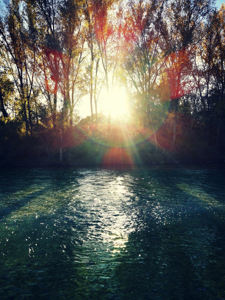 Golden River Sunlight by Angelo Cerantola