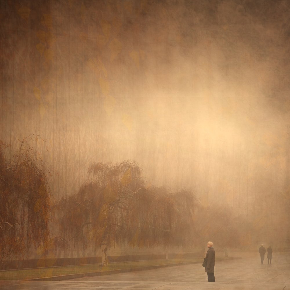 Dreamy Autumn Walk by Anja Buehrer