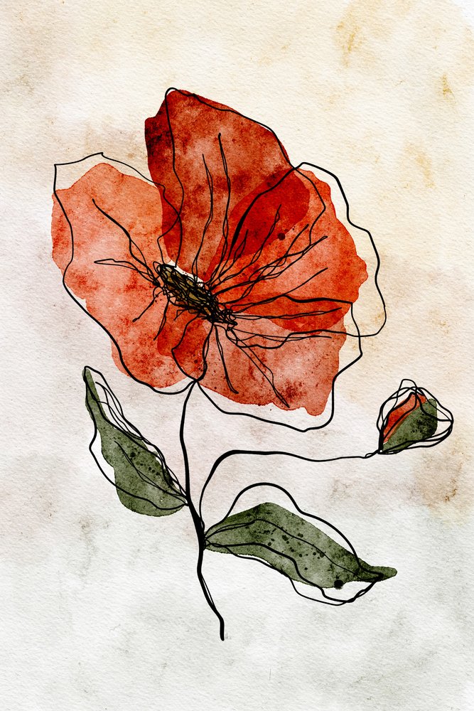 Red Watercolor Poppy by Ankie Kooi