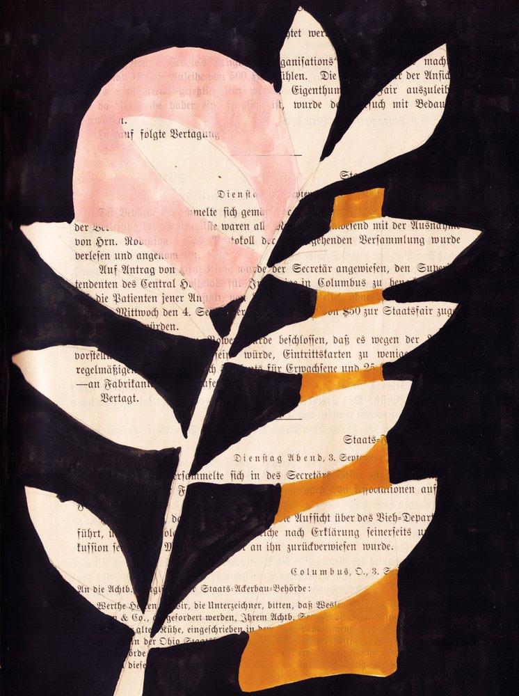 Abstract Leaves with Black Background by Annick