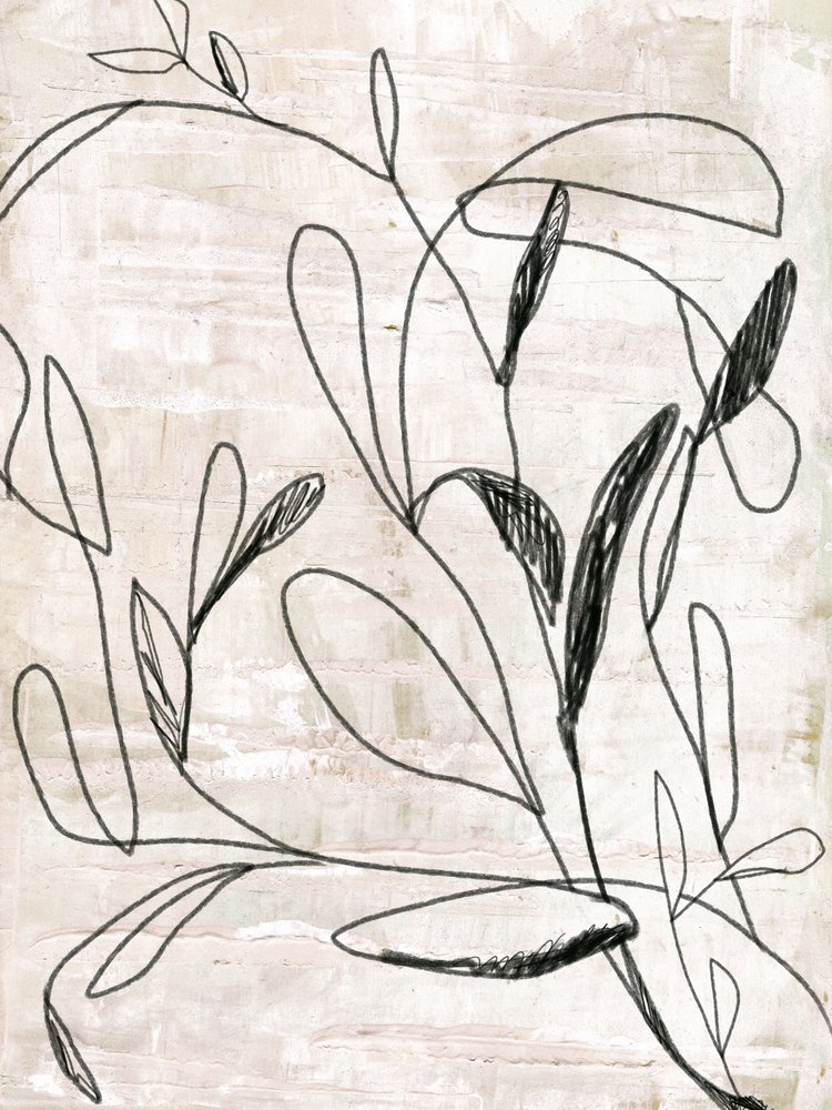 Botanical Line Drawing by Annick