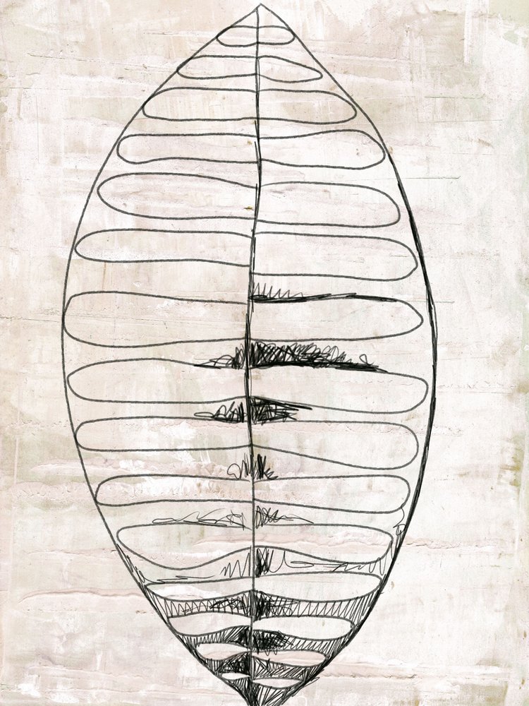 Organic Leaf Line Art by Annick