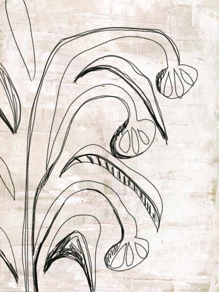 Organic Line Botanicals by Annick