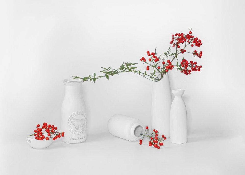 Minimalist Red Berry Display by Annie Poreider