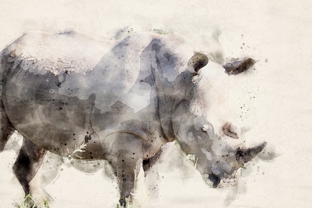 Graceful Watercolor Rhino by Arno Du Toit