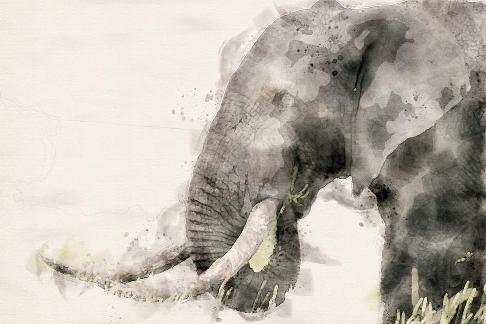 Peaceful Elephant Watercolor by Arno Du Toit