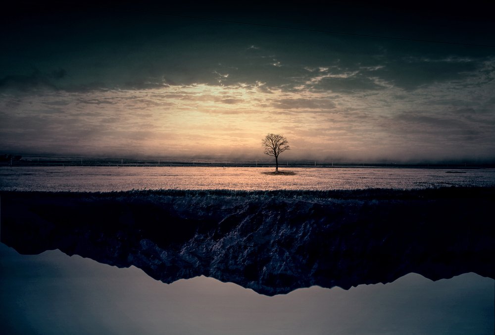 Solitary Tree Reflection by Asef Azimaie
