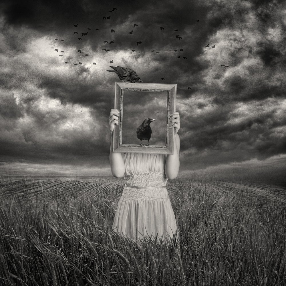 Woman With Framed Raven by Baden Bowen