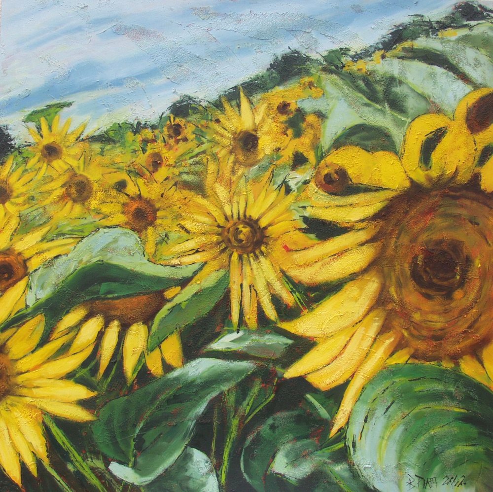 Golden Sunflower Field by Barbara Piatti