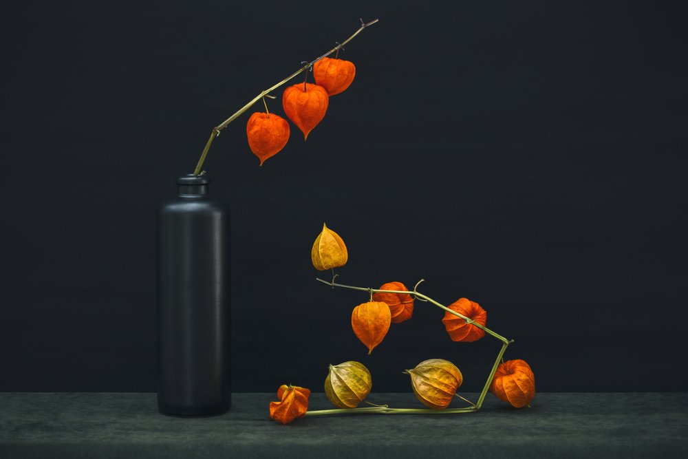 Chinese Lantern Glow by Brig Barkow