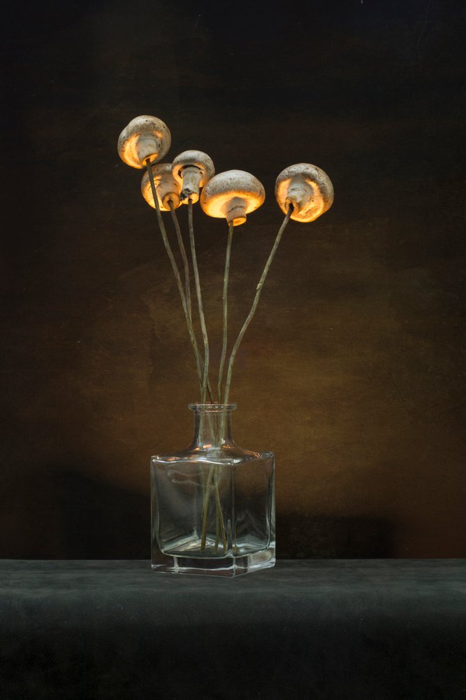 Illuminated Mushroom Vase by Brig Barkow