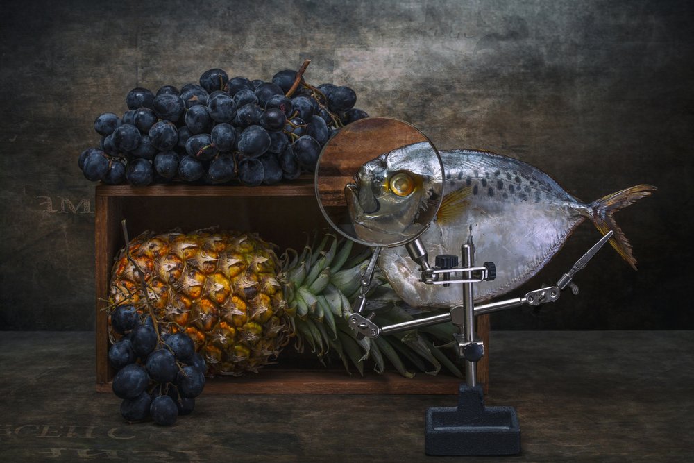 Magnified Fish Still Life by Brig Barkow