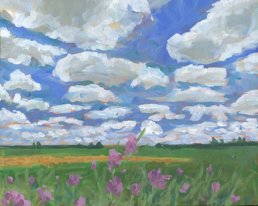 Summer Sky Over Wildflowers by Carrie Arnold