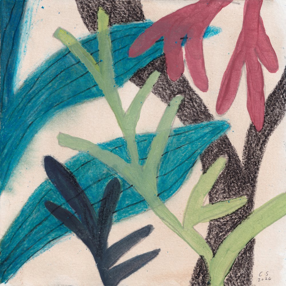 Colorful Abstract Foliage by Catalina Somolinos