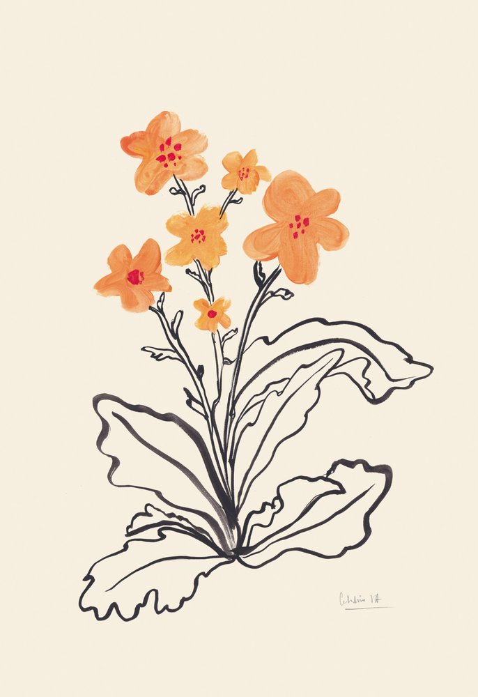 Vibrant Orange Flowers by Catalina Somolinos